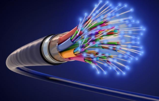 Fiber